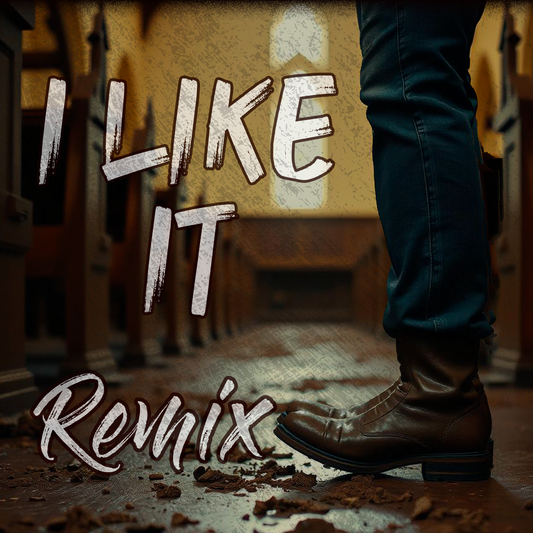 I Like It REMIX
